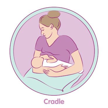 MAM  Illustration - Cradle
